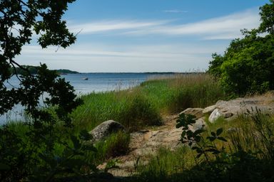 A view of a lake in the summer